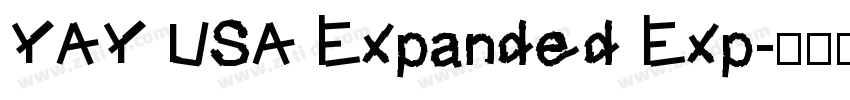YAY USA Expanded Exp字体转换
